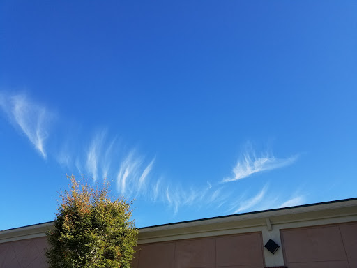 Non-Profit Organization «Nspire Outreach», reviews and photos