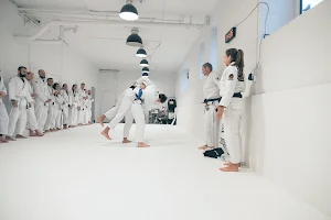 Hive Brazilian Jiu-Jitsu image