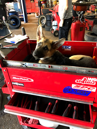 Tire Shop «West Milford Tire», reviews and photos, 1863 Greenwood Lake Turnpike, Hewitt, NJ 07421, USA