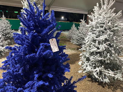 KB'S Real Christmas Trees