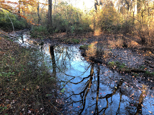 Nature Preserve «Brookside Preserve», reviews and photos, N Brookside Ave, Roosevelt, NY 11575, USA
