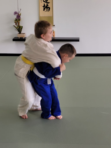 Greater Detroit Budojuku (Judo / Aikido)