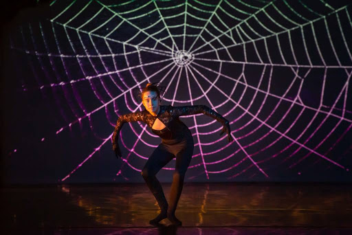 Performing Arts Theater «Reif Performing Arts Center», reviews and photos, 720 NW Conifer Dr, Grand Rapids, MN 55744, USA