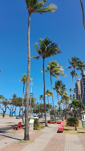 Comentários e avaliações sobre Segundo Jardim de Boa Viagem