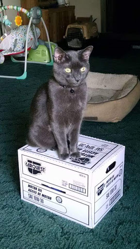 Explore tattoo ideas with meanings, creative tattoo ideas in Myrtle Beach, available at Elite Ink Tattoos of Myrtle Beach