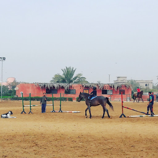 Horse riding lessons Cairo
