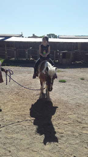 Zoo «Jr Pony Parties», reviews and photos, 1744 N Leonard Ln, Las Vegas, NV 89108, USA