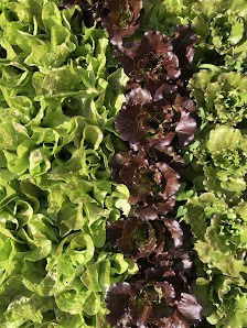 Well Fed Farmstead 2229 W Vine Dr, Fort Collins, CO 80521, United States
