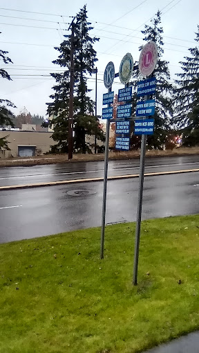 Community College «South Puget Sound Community College», reviews and photos