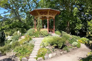 DBW's Botanical Garden image