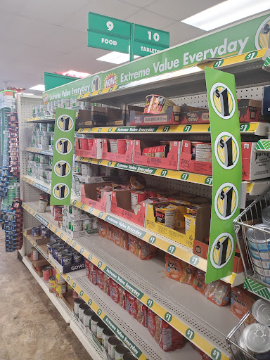 Dollar Store «Dollar Tree», reviews and photos, 3255 Lawrenceville-Suwanee Rd e, Suwanee, GA 30024, USA