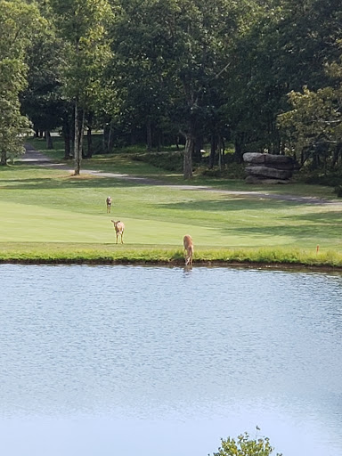 Golf Shop «Eagle Rock Golf Clubhouse & Pro Shop», reviews and photos, 191 Turnberry Ln, Hazle Township, PA 18202, USA