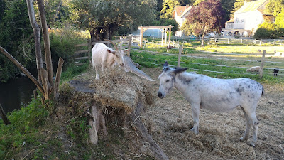 La ferme Roz à Tessancourt-sur-Aubette