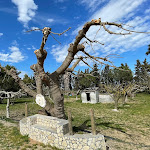 Photo n°9 de l'avis de Gabriele.a fait le 11/03/2023 à 23:57 sur le  Agriturismo Tenuta Lu Cantieri  | Cucina tipica salentina à Novoli