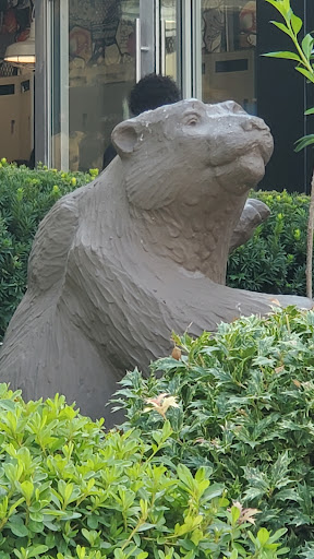 Shopping Mall «Cross County Shopping», reviews and photos, 8000 Mall Walk, Yonkers, NY 10704, USA