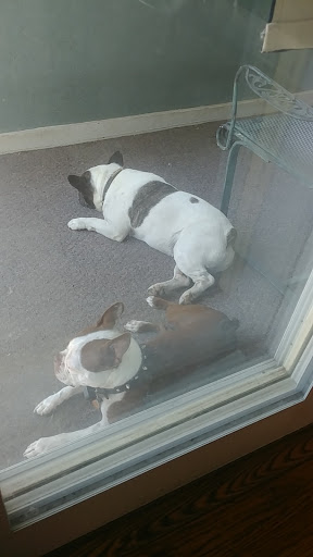 Barber Shop «The 4433 Barber Shop», reviews and photos, 4433 State Line Rd, Kansas City, MO 64111, USA