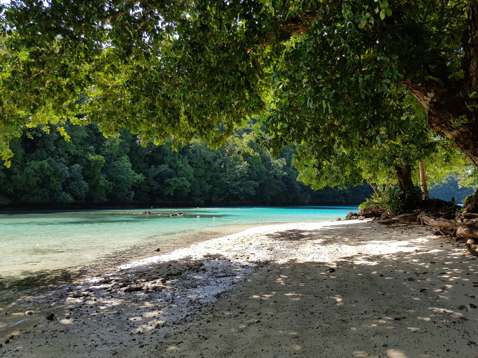 Ngchus Beach的照片 带有碧绿色纯水表面