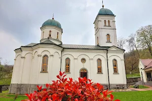 Petkovica Monastery image