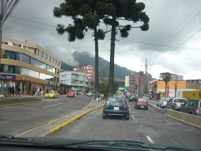Opiniones de Cooperativa OCCIDENTAXI #118 U43 en Quito - Servicio de taxis