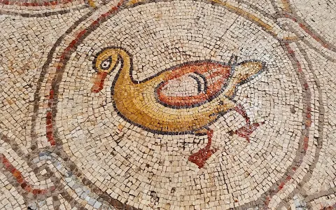 Birds Mosaic image