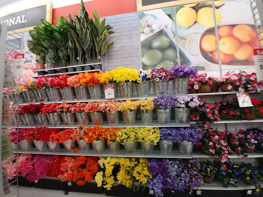 Craft Store «Michaels», reviews and photos, 7635 N MacArthur Blvd, Irving, TX 75063, USA