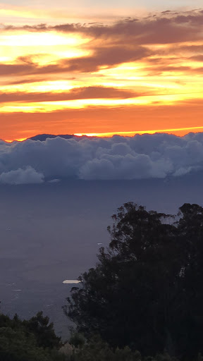 Bankruptcy Attorney «Atlas Consumer Law», reviews and photos