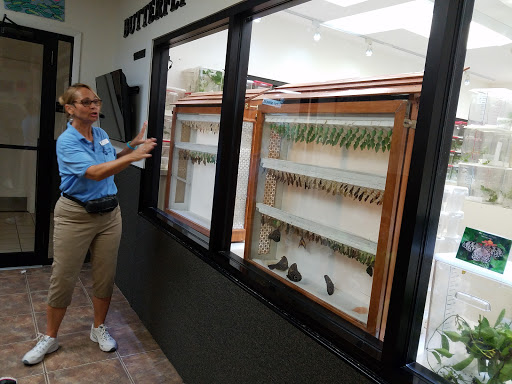 Tourist Attraction «Butterfly World», reviews and photos, 3600 W Sample Rd, Coconut Creek, FL 33073, USA