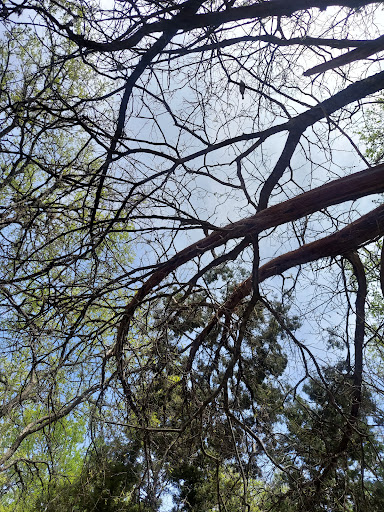 Park «Culebra Creek Park», reviews and photos, 10919 Westwood Loop, San Antonio, TX 78254, USA