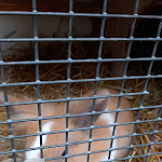 Photo n°6 de l'avis de Evi.o fait le 17/01/2024 à 10:17 sur le  Landhotel Schäferhof Langenstein à Langenstein