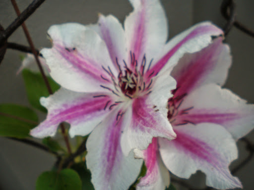 Pet Supply Store «Eden Garden and Pets», reviews and photos, 1439 S 70th St, West Allis, WI 53214, USA