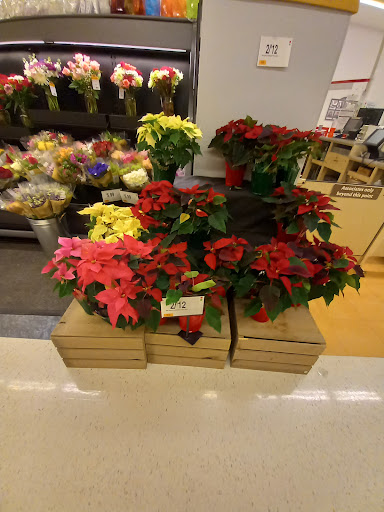 Grocery Store «Stop & Shop», reviews and photos, 465 Atlantic Ave, Oceanside, NY 11572, USA