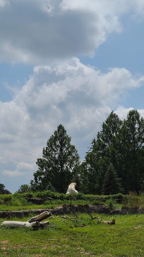 Zoo «Arctic Ring of Life», reviews and photos, 8450 W 10 Mile Rd, Royal Oak, MI 48067, USA