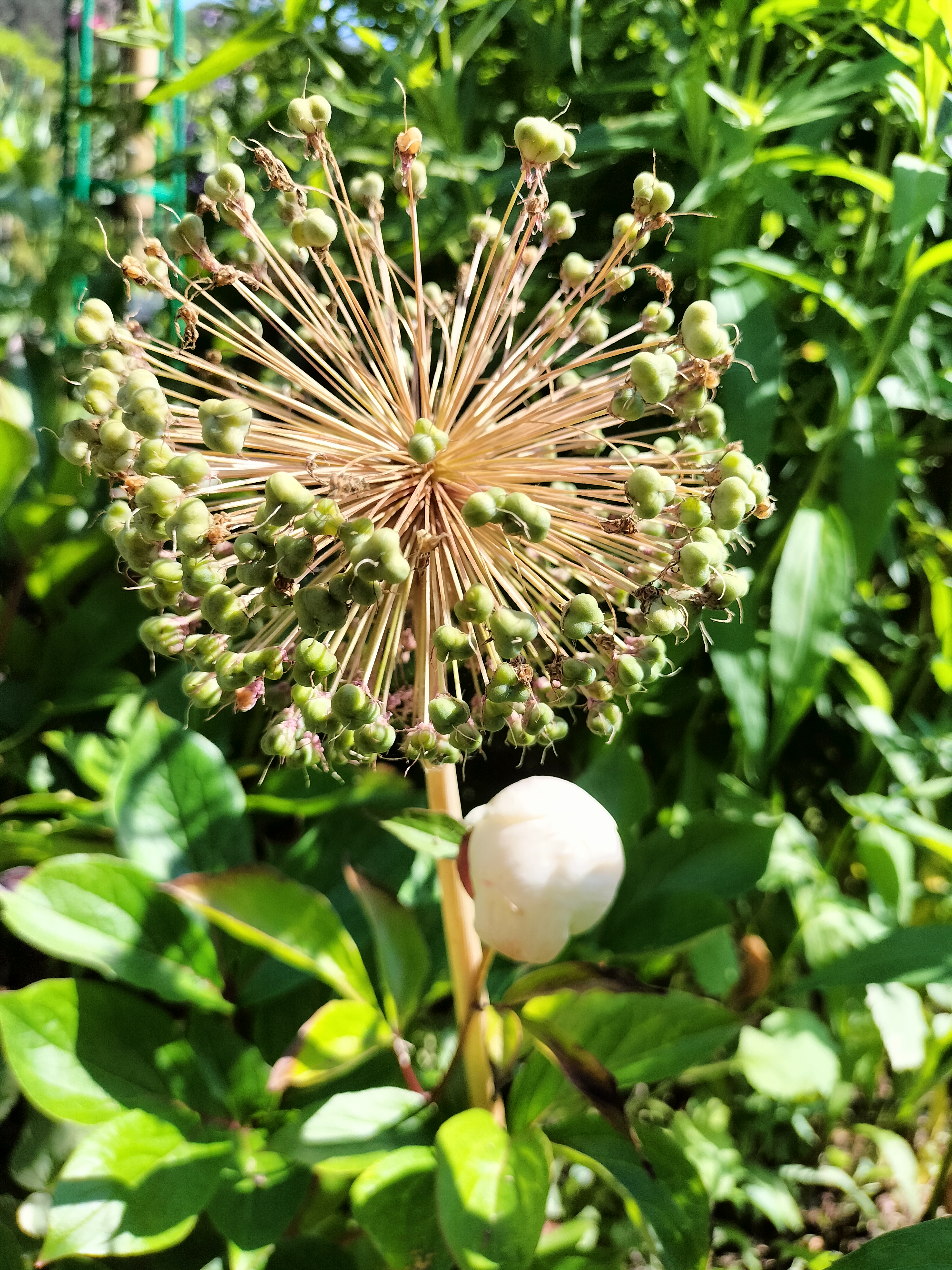Photo n° 16 de l'avis de didier.e fait le 15/06/2023 à 13:38