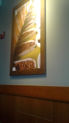 Coffee Shop «Starbucks», reviews and photos, 1212 Airport Park Blvd, Ukiah, CA 95482, USA