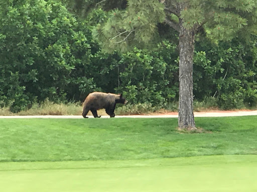 Golf Club «Golf Club At Bear Dance», reviews and photos, 6630 Bear Dance Dr, Larkspur, CO 80118, USA