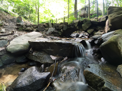 Nature Preserve «Tregaron Conservancy», reviews and photos, 3100 Macomb St NW, Washington, DC 20008, USA