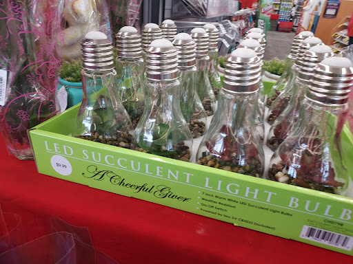 Drug Store «CVS», reviews and photos, 23391 Farmington Rd, Farmington, MI 48336, USA