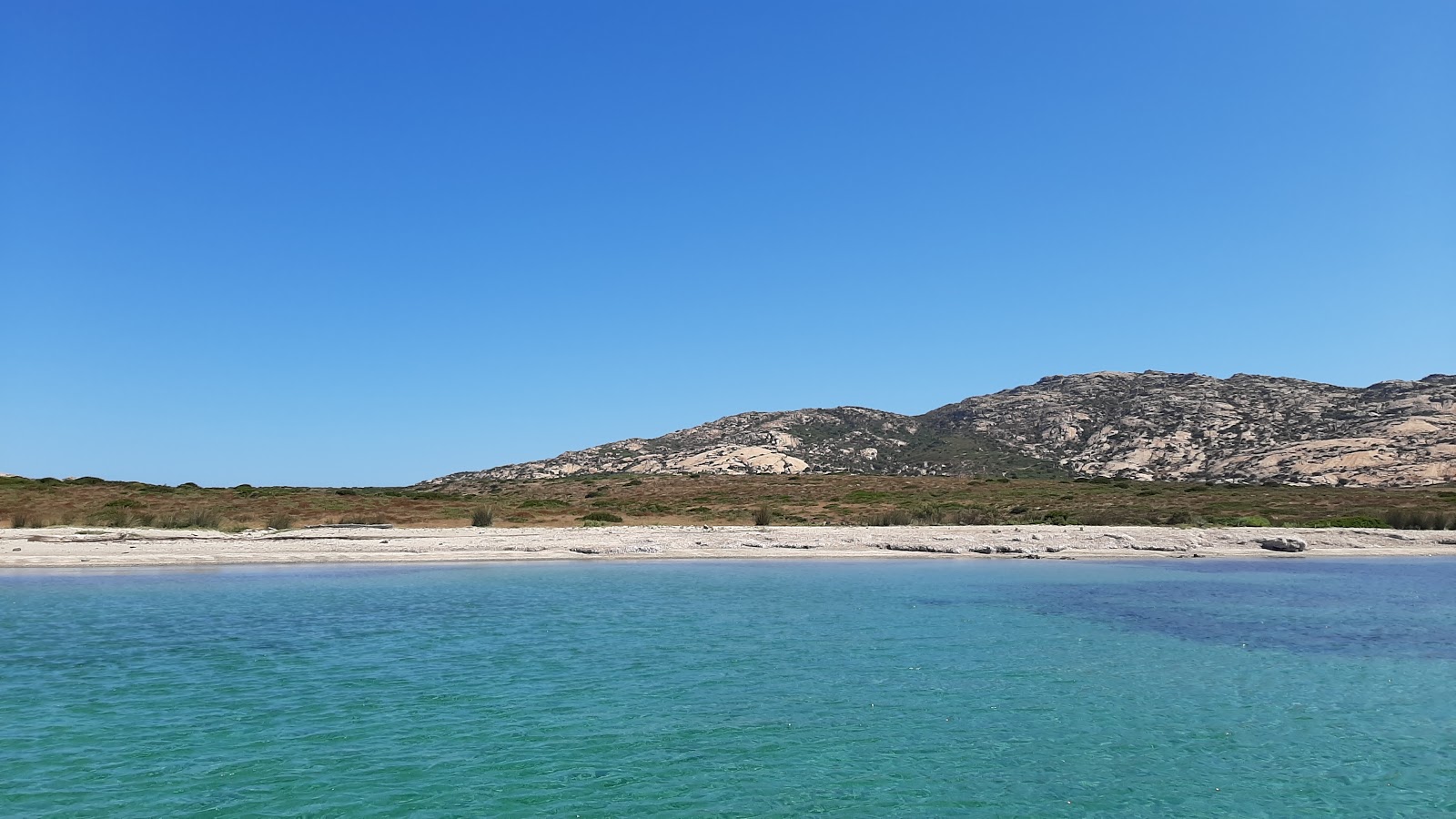 Spiaggia dello Spalmatore all'Asinara'in fotoğrafı - rahatlamayı sevenler arasında popüler bir yer