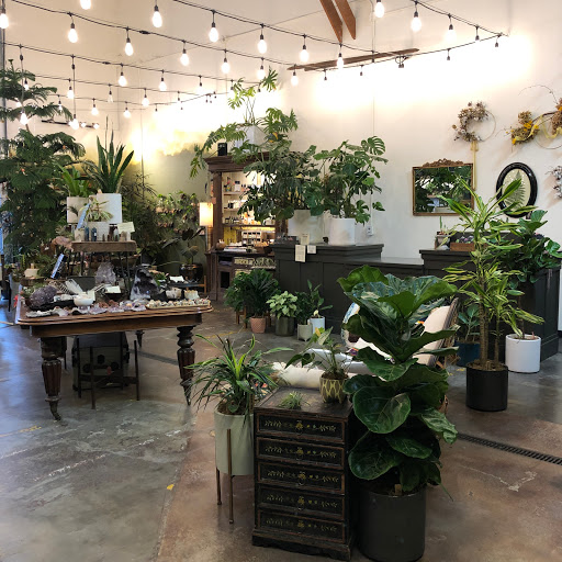Florist «California Sister Floral Design & Supply», reviews and photos, 6790 McKinley St #190, Sebastopol, CA 95472, USA