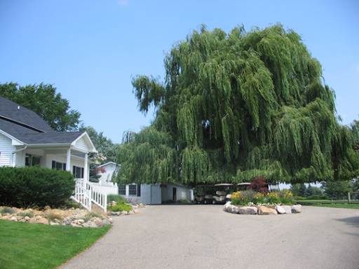 Golf Course «Glenbrier Golf Course», reviews and photos, 4178 W Locke Rd, Perry, MI 48872, USA