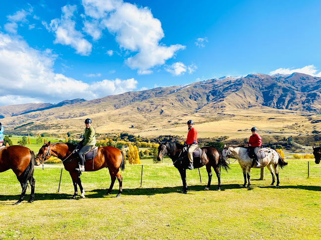 Reviews of The Cardrona Horse Trekking & Quadbiking in Wanaka - Travel Agency