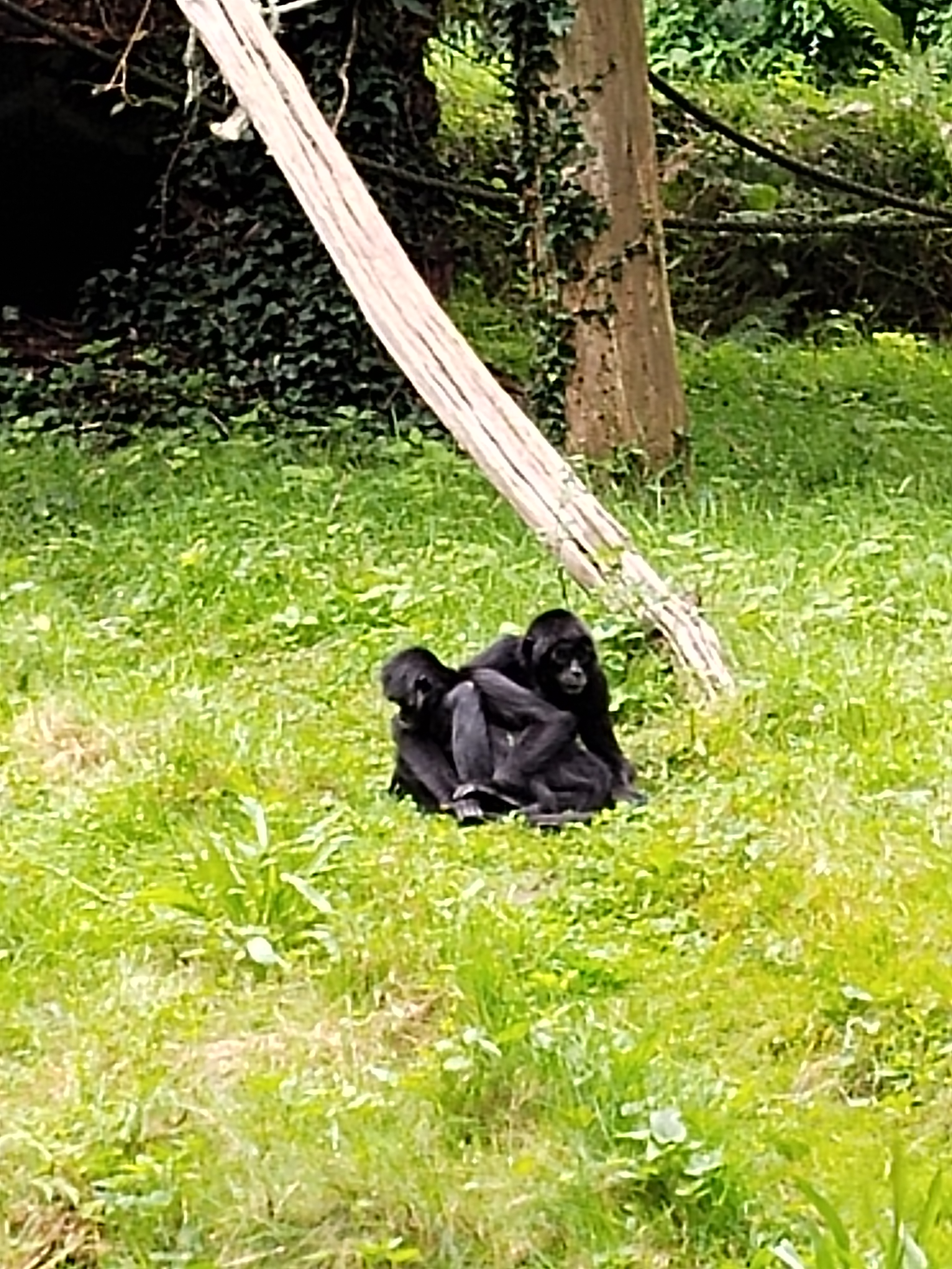 Photo n° 4 de l'avis de Françoise.a fait le 14/08/2023 à 09:50