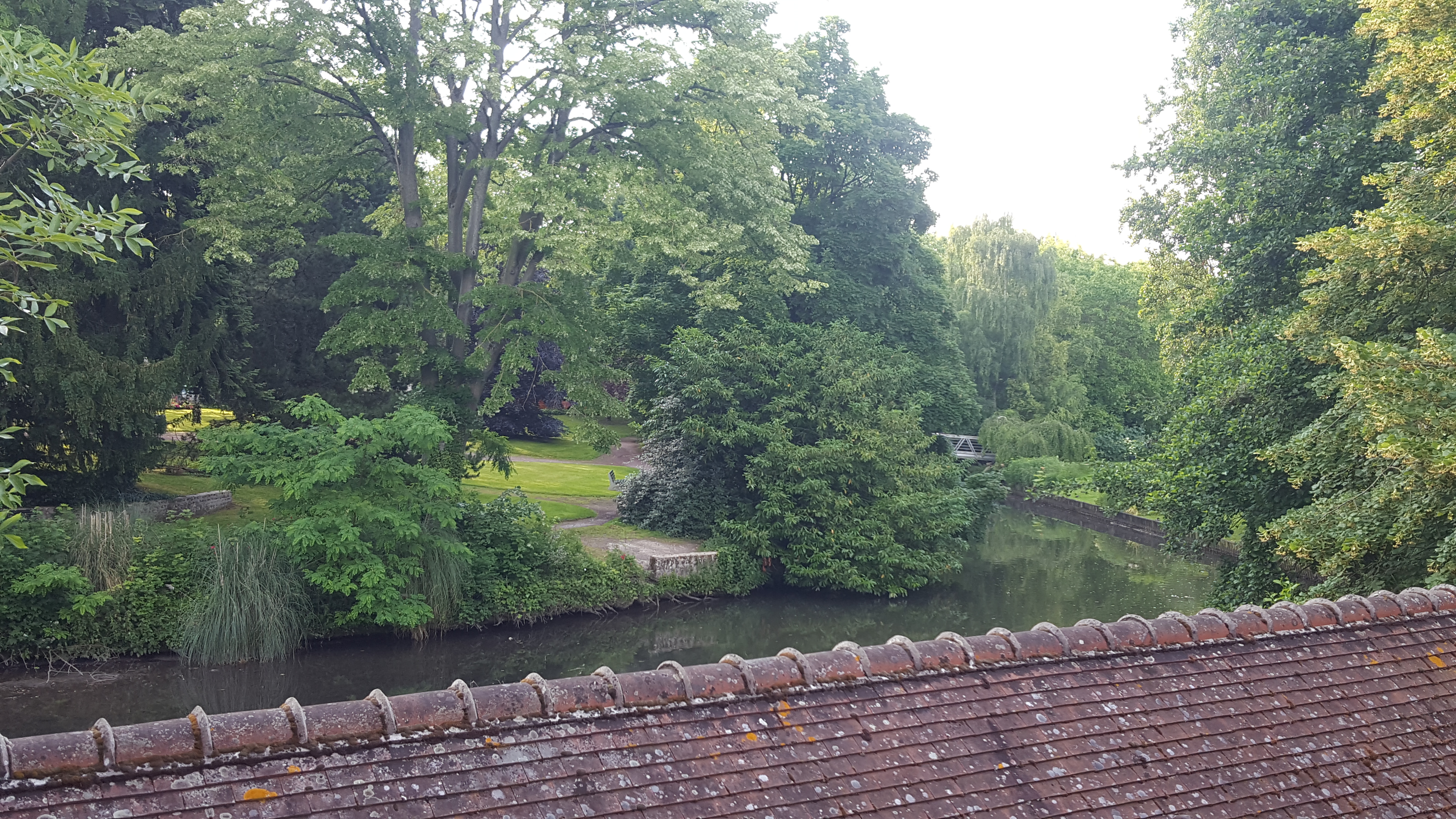 Photo n° 44 de l'avis de Dominique.. fait le 24/06/2019 à 07:51