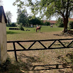 Photo n°1 de l'avis de Matze.a fait le 20/09/2020 à 13:51 sur le  Hotel Schloss Sindlingen à Jettingen