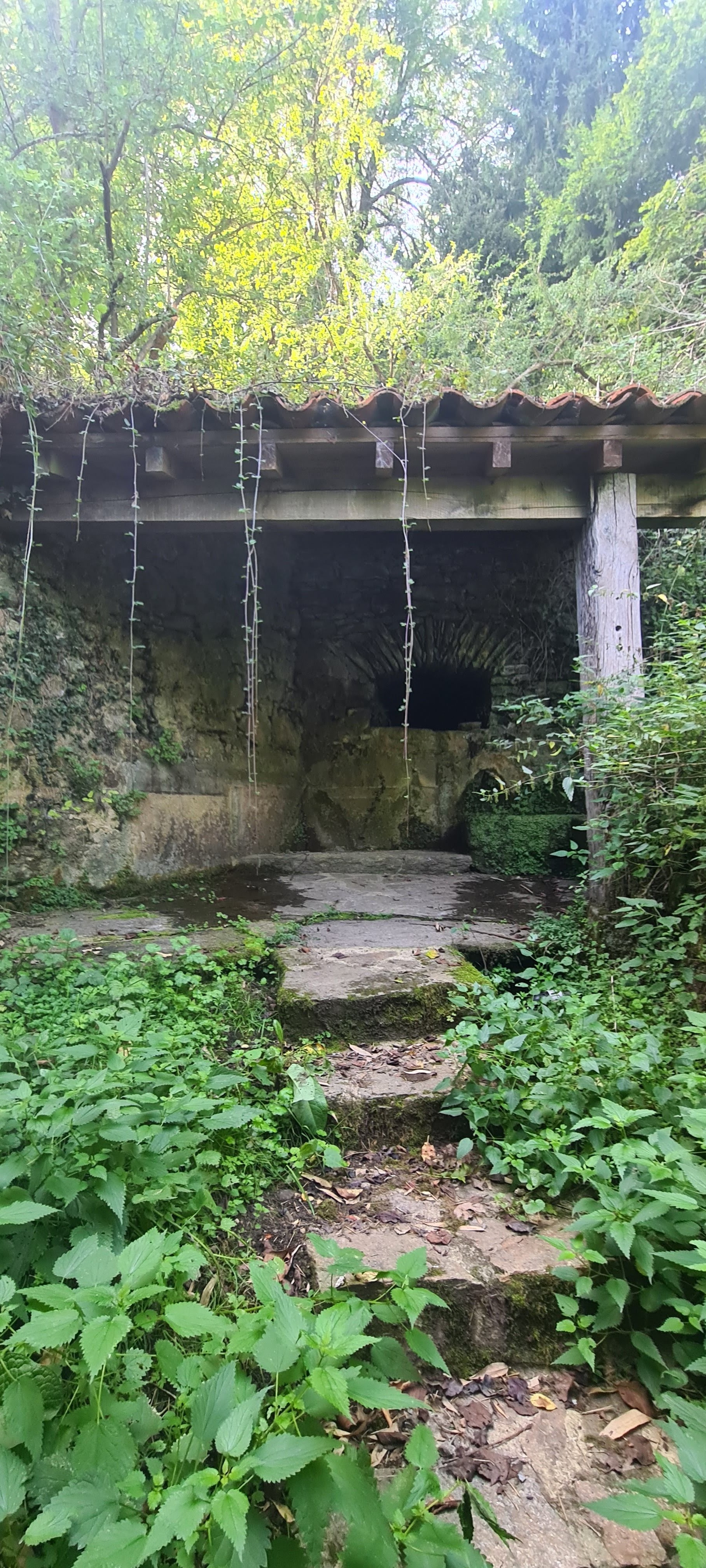 Photo n° 18 de l'avis de Nadine.a fait le 07/10/2023 à 17:46