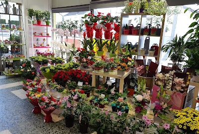Au chant des fleurs à Le Mans