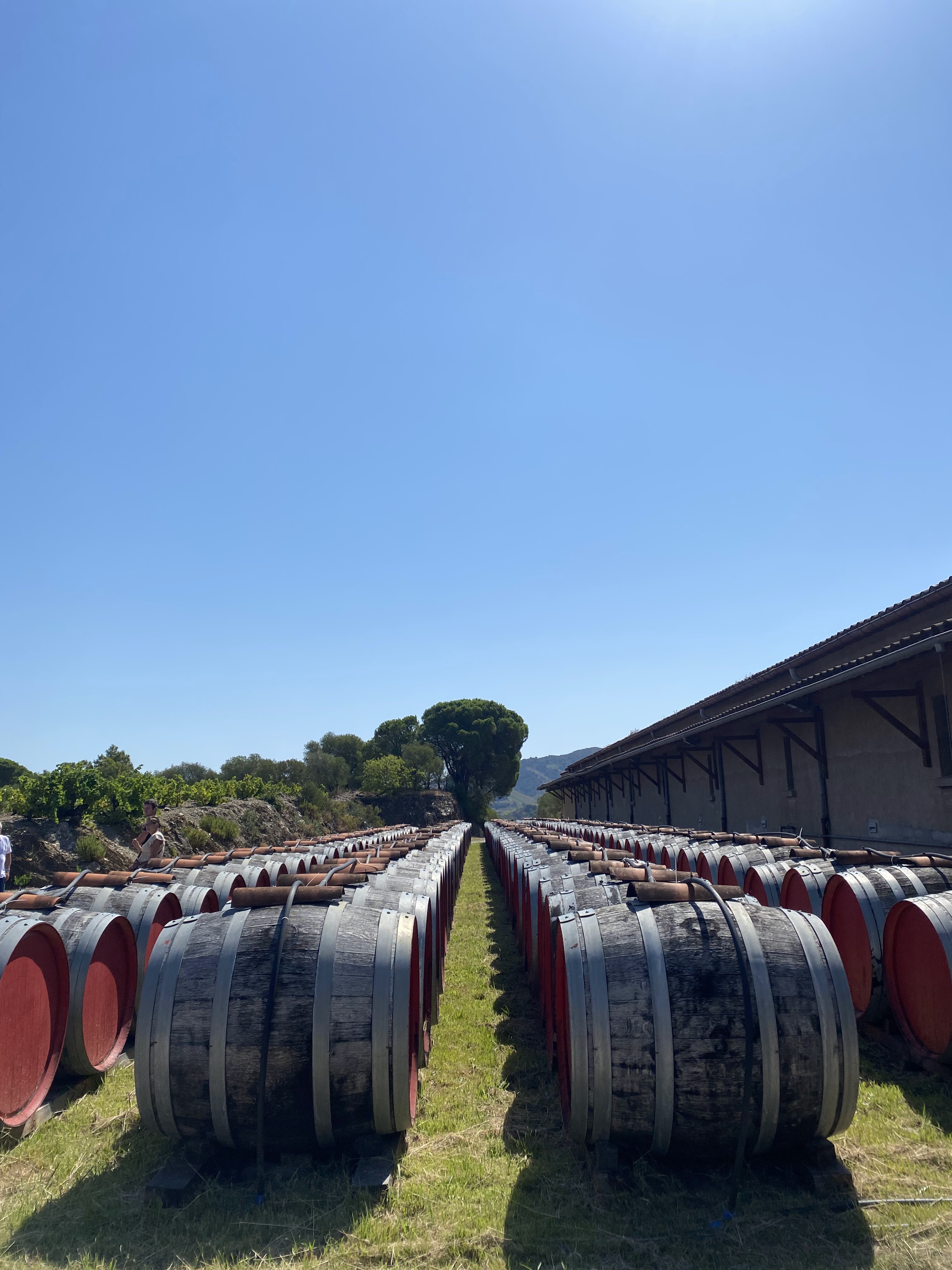 Photo n° 1 de l'avis de Daphné.a fait le 22/08/2022 à 16:33