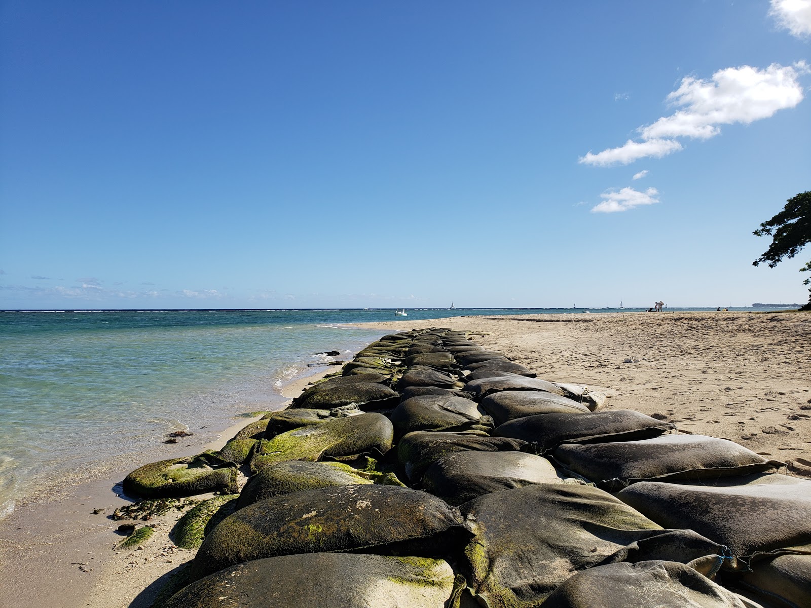 Foto av La Preneuse Beach vildmarksområde