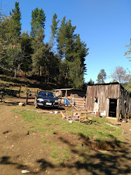 Iglesia Bautista Misionera