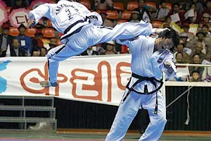 ITF Taekwon-Do image